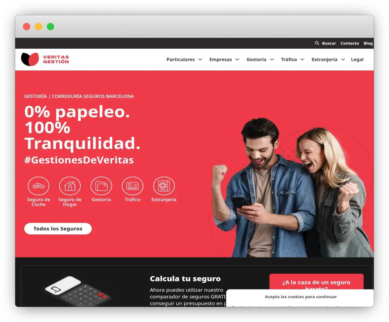 Web de Veritas Gestión